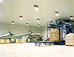 Empresa exportación patatas