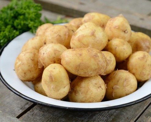 Kartoffelverkauf Großhandel Spanien